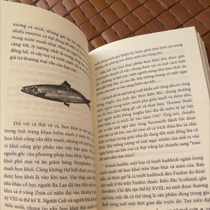 Sách có tranh minh hoạ, trình bày đẹp. Đọc lướt lướt qua cũng thấy ưng. Mình mua vì thấy 1 số bạn cũng khá khen cuốn này. Nên rất hy vọng luôn ❤️