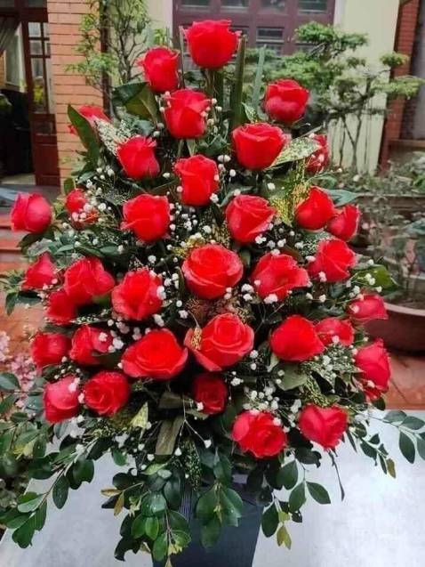 Giặt sạch mùi thơm nhẹ nhàng, đóng gói tạm được, có tặng kèm hàng mẫu thử