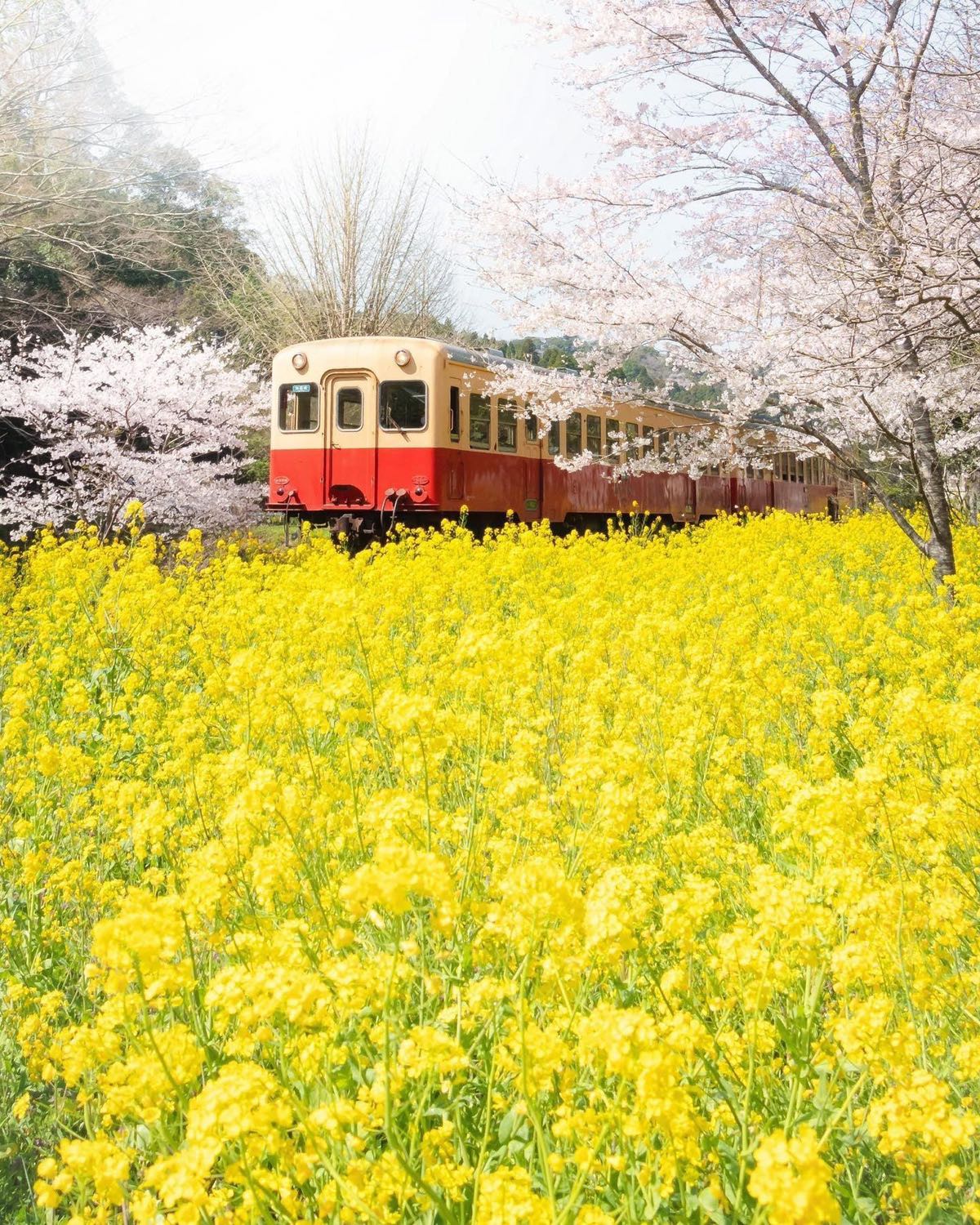 Ảnh minh họa vì chất lượng và phong cách phục vụ như tấm ảnh này vậy