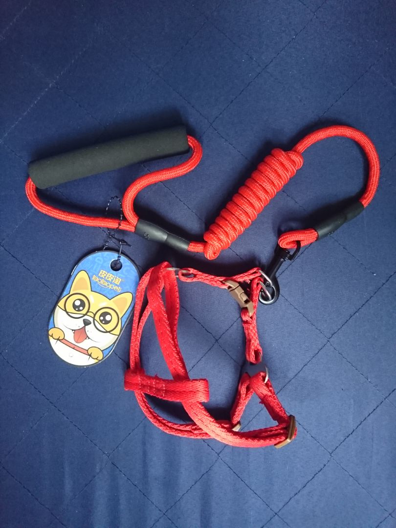 Sản phẩm có chất lượng rất tốt luôn mà giá thì rất rẻ. Thêm nữa là mới đặt hôm trước hôm sau đã nhận hàng ngày.
Có điều màu mình không thích lắm. Hy vọng cửa hàng Ngọc Lan nhắn tin phản hồi lại giúp mình để mình được mua lại đúng ý với ạ.