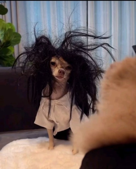 10 điểm săn sale đươkc giá rẻ nên hu vọnh. Ó đ. Coicher nưa