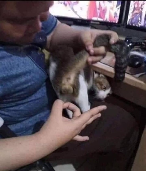 Rất hay nhé các bạn, quyển 2 này thậm chí còn hay hơn quyển 1 nữa