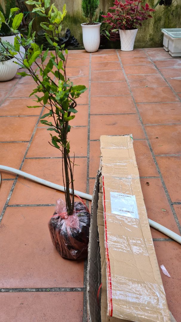 Rất hài lòng sản phẩm này Rất hài lòng sản phẩm này