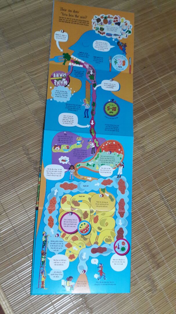 Sách có thiết kế thú vị. Trang sách được mở rộng khiến trẻ thấy thích thú. Nội dung phù hợp với trẻ em. Sách như giải đáp được những thắc mắc, tính tò mò bấy lâu. Hình minh họa rõ ràng, cụ thể rất dễ hiểu.