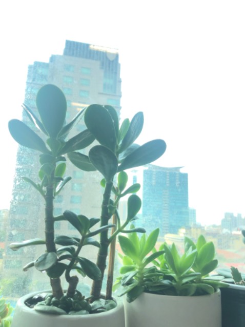 ok đẹp lắm nhe bạn tặng nên ko có hìn ảmh