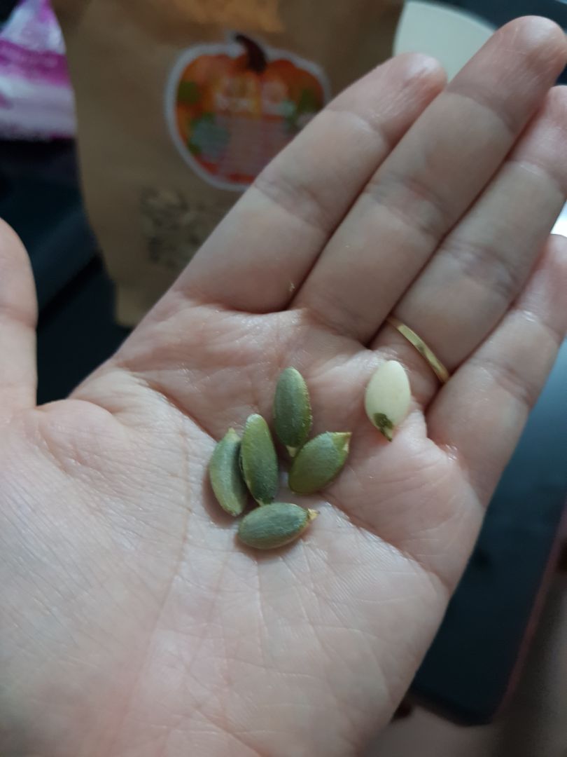 Bí ngon quá trời ơi! Hạt chắc, cắn dễ, ko vỡ tí nào. Rang vừa đủ độ, có tí muối đầm đậm ăn bùi mồm tốn ghê ghớm! Đặt gạch trước Tết này lấy mấy cân nha shop!!!