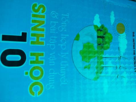 Phần trắc nghiệm khá ổn. Tuy nhiên còn sai chính tả và sai đáp án. Nói chung dùng để luyện thì cũng tạm được. Lý thuyết tổng quát không chuyên sâu chỉ phù hợp cho học sinh thường. Học sinh giỏi thì nên dùng loại khác.