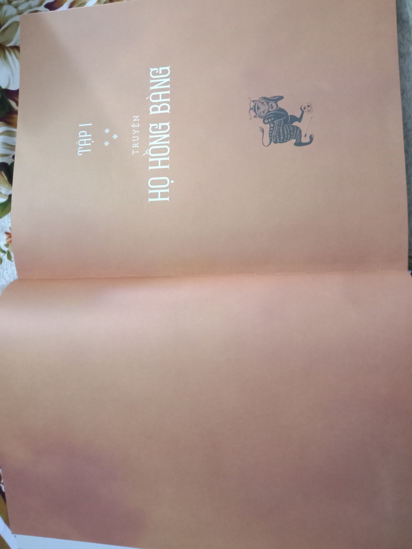 Sách to, đẹp. Tất cả các câu truyện mình đều đã đọc qua, nhưng trình bày thêm tranh minh họa làm cho các câu truyện cũ mang một màu sắc mới, thu hút người đọc. Điểm trừ mình không thích là họa sĩ vẽ tranh minh họa " dìm hàng" trang phục Việt Nam quá, đàn ông toàn cởi trần đóng khố ( kể cả nhà vua) trong khi người Tàu mặc quần áo y như phim tam quốc, mặc dù VN nghề dệt vải phát triển từ rất sớm