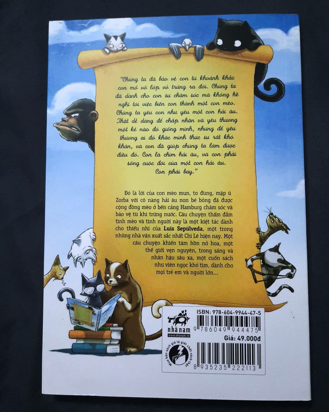 Tác giả đã hóa thân làm những con vật để kể một câu chuyện kết hợp với cuộc sống ở vùng ven biển. Mở đầu tác phẩm là câu chuyện riêng của từng nhân vật. Sau đó một sự vô tình cũng là cái duyên gắn kết để rồi tạo nên câu chuyện tưởng chừng như là đối nghịch. Vì một lời hứa của một cô chim mẹ mà mèo phải làm nhiệm vụ của một người mẹ để ấp trứng, bảo vệ hải âu con. Vì lời hứa sẽ dạy hải âu con bay mà mèo mẹ phải cùng đồng đội mình tìm cách để giúp hải âu con sống đúng với cuộc đời của một chú hải âu....