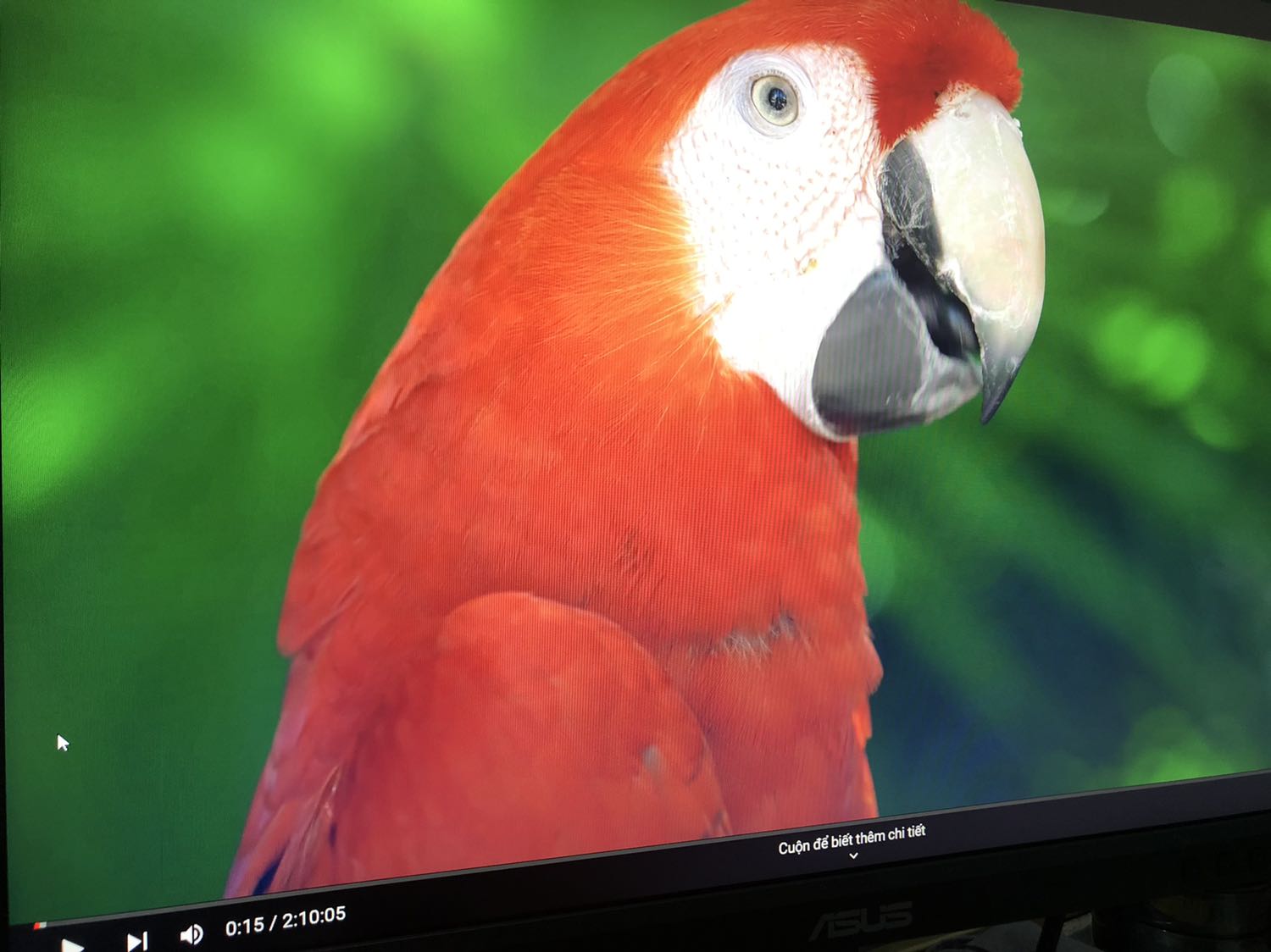 Mình đã dùng được khoảng 2 tuần. Tiki giao hàng rất nhanh, giá cũng tốt. Mình dùng màn hình này làm màn hình phụ, đáp ứng tốt nhu cầu đọc nghiên cứu và làm việc văn phòng vì có thể arrange nhiều windows thoải mái. Về nhu cầu giải trí thì 7.5/10, với những video tối thì xem không thích lắm, và độ smooth màu không cao. Loa được nhưng không hay dùng làm. Có cái đế to, tốn diện tích một tí nhưng có vẻ chắc chắn hơn. Chênh lệch màu sắc giữa màn hình phụ và màn hình laptop tạm chấp nhận được vì mình chưa có yêu cầu nhiều và tự chỉnh thấy oải quá =)) Tấm nền IPS nên chấp nhận chuyện hở sáng thôi ạ