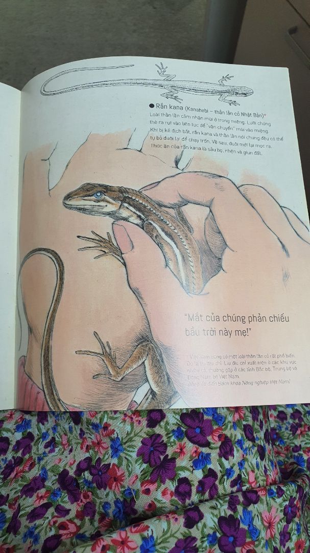 sách cực đẹp, tranh vẽ và nội dung cực kì hài lòng và phù hợp cho bé từ 4 đến 7 tuổi.