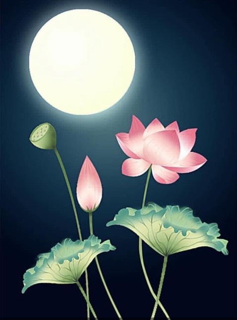 Sách đọc lúc stress