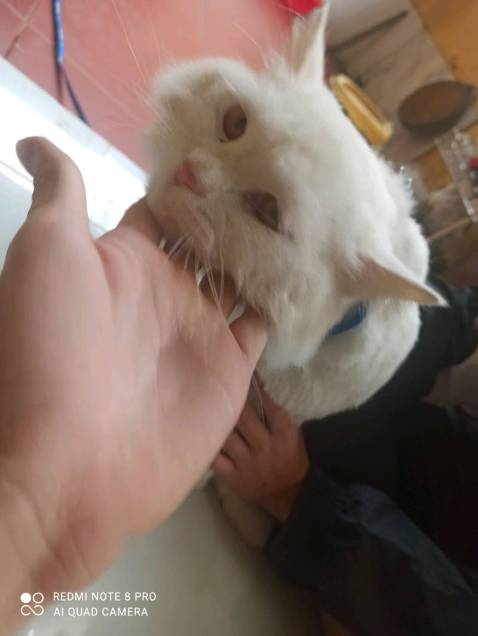 OK xhzchhyxfdđudhdagxhsgxysgd ác hstaystayd ác Sỹ hả xýdd