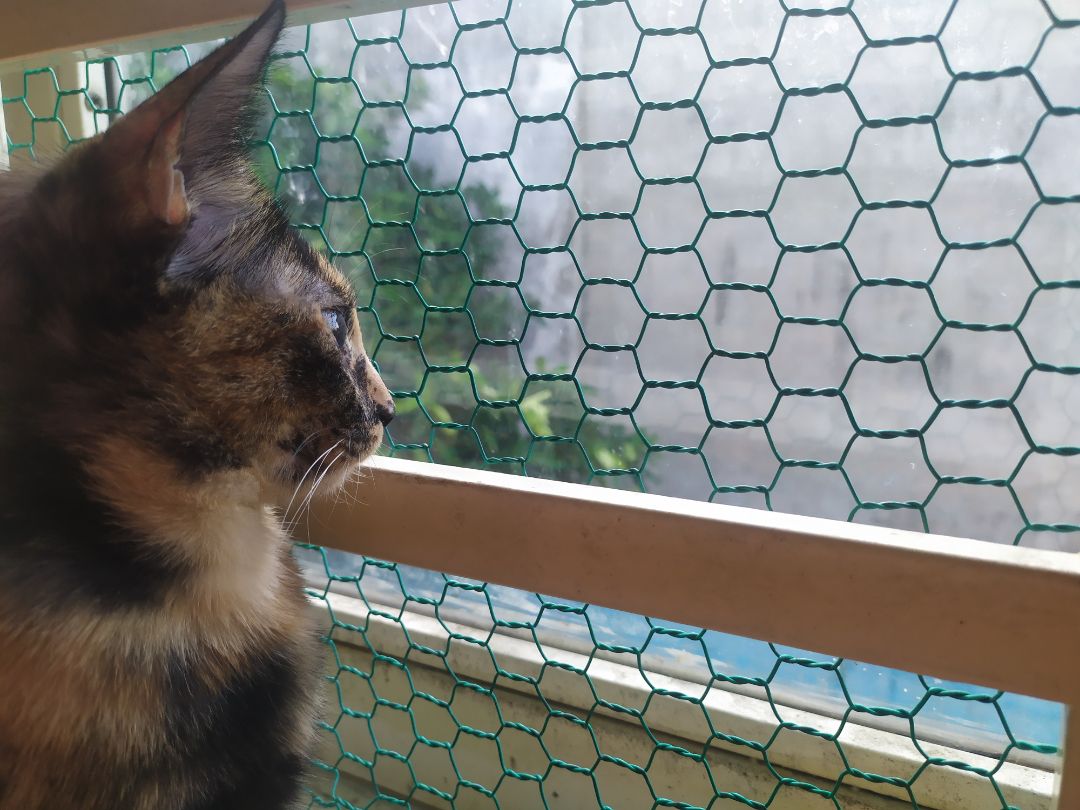 Sản phẩm OK, giá tốt. ăn xong ngồi nhắm cảnh suy tư vậy nè 😆