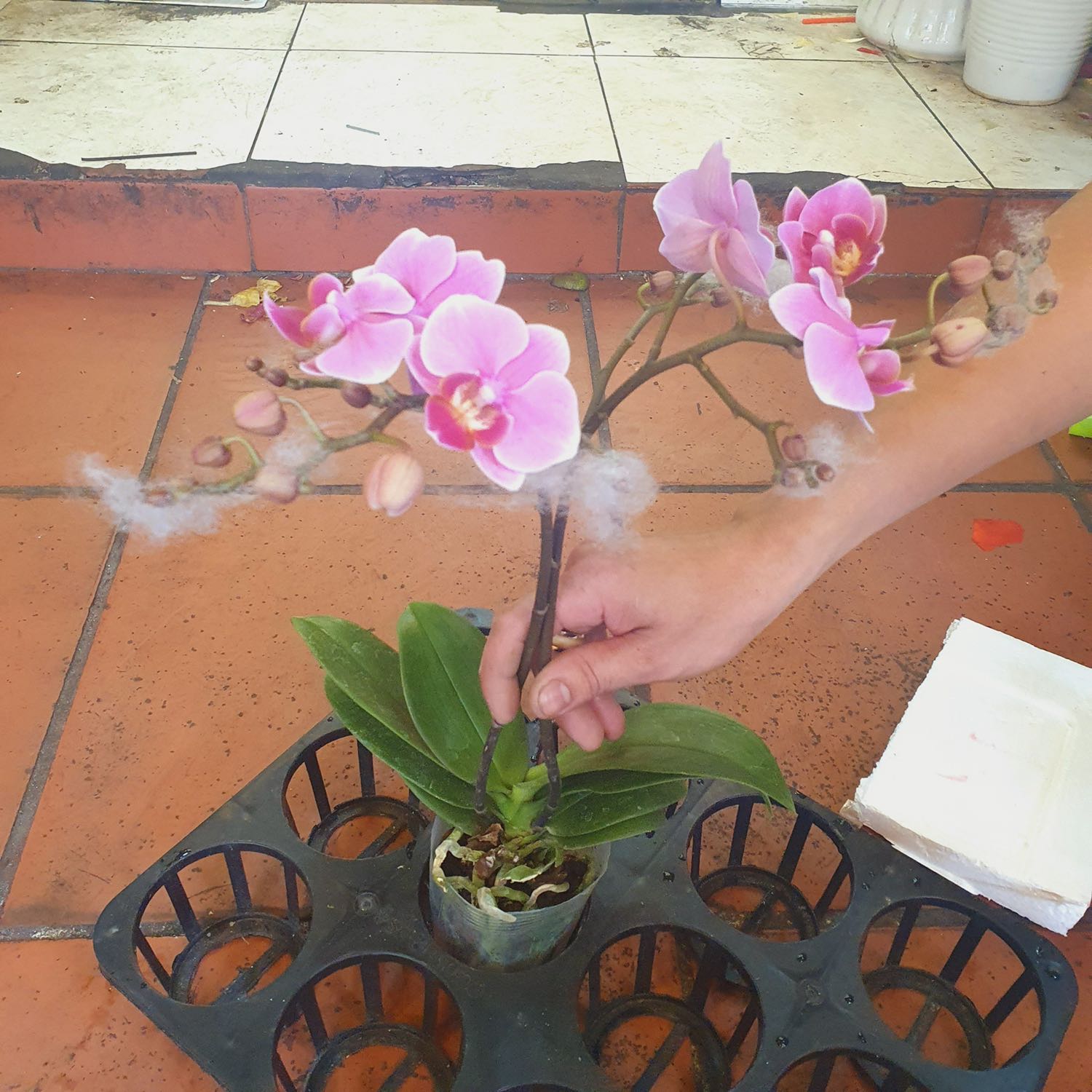 sản phẩm đúng mô tả, giao hàng đóng gói ổn áp, đã mua và dùng không hối tiếc ^^ ảnh mang tính nhận thưởng