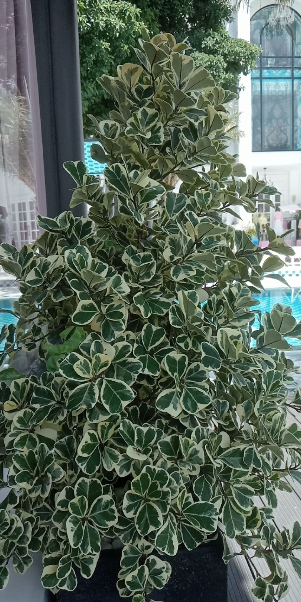 mua cho giúp dì nên chưa biết sp thế nào, nhưng dòng máy này nhà mình có sài qua thì rất ok, giá cũng rẻ