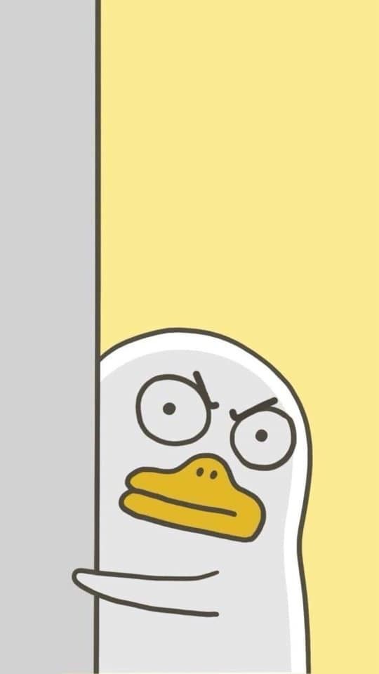 Bút đẹp lắm! Viết ổn?