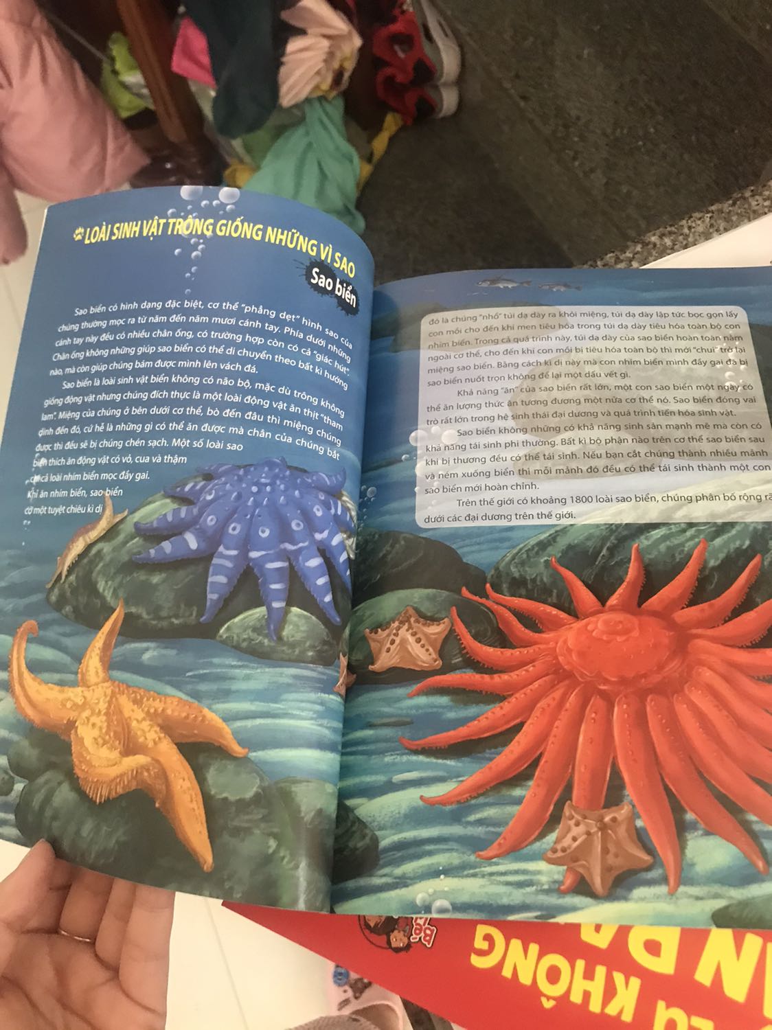 sách in hình rất đẹp, nội dung khá hay, giao hàng tiki thì nhanh đóng gói kỹ