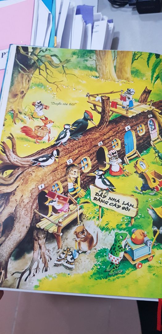 bìa cứng cáp, giấy cứng và bóng, màu sắc in cũng rất đẹp