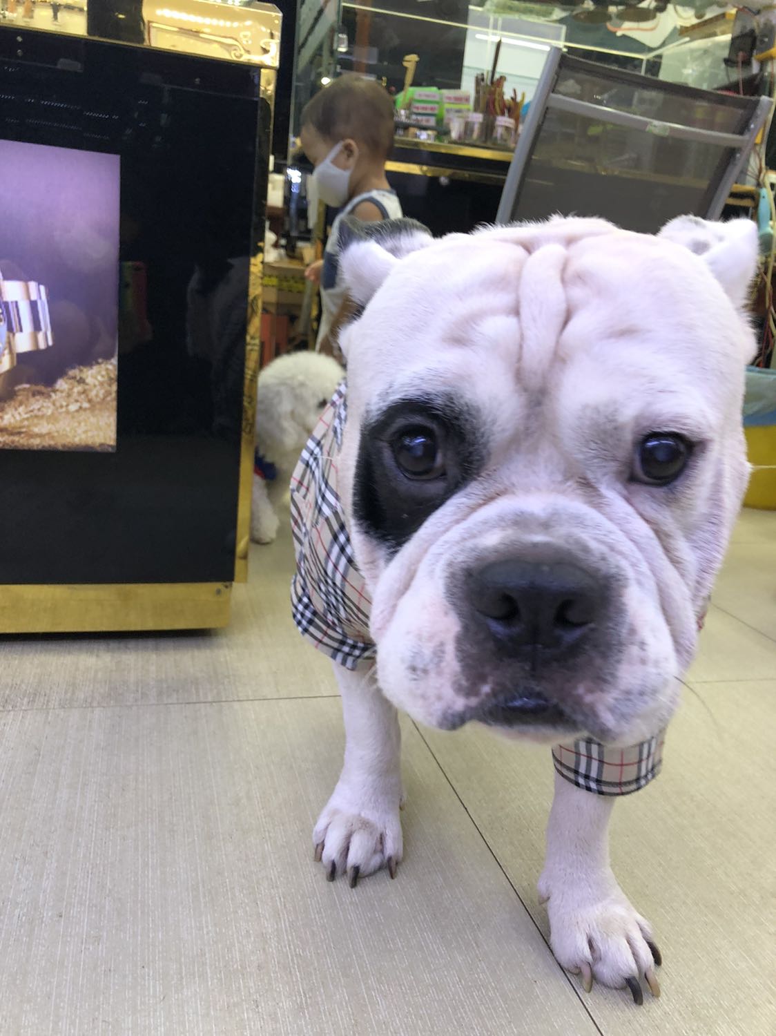 Dhjdkdkdjdjnfkdkd kfnfkfmnđ dndkdkkdndndndn