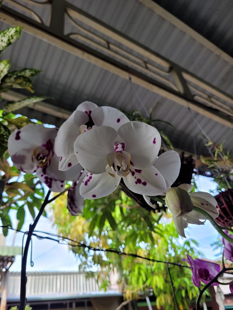 sách đẹp hay