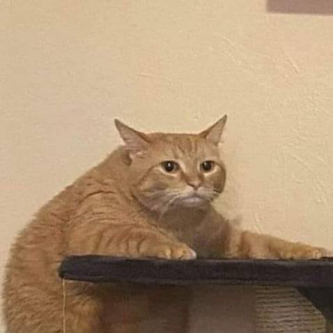 Hàng đúng mẫu mã, chất lượng tốt, giá rẻ, dịch vụ giao hàng tốt! Một lần nữa, Tiki cũng như shop không làm tôi thất vọng!