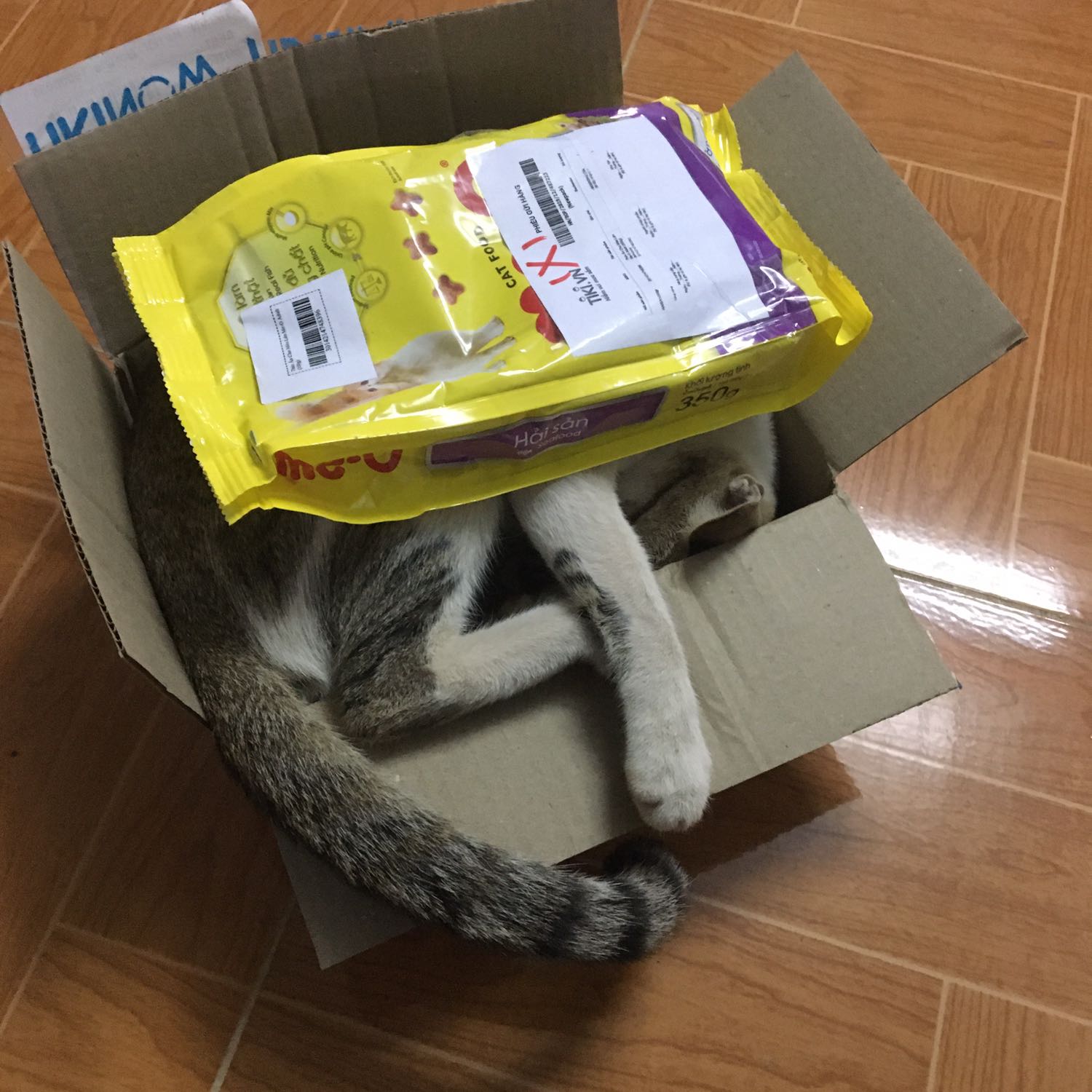 Giao hàng nhanh, mòe nhà em rất thích, có điều 2 đứa mà chỉ một đứa ăn đồ biển thôi ! Khổ vậy cơ! Cơ mà cảm ơn tiki cả 2 đứa đều rất thích cái hộp, hihi Giao hàng nhanh, mòe nhà em rất thích, có điều 2 đứa mà chỉ một đứa ăn đồ biển thôi ! Khổ vậy cơ! Cơ mà cảm ơn tiki cả 2 đứa đều rất thích cái hộp, hihi