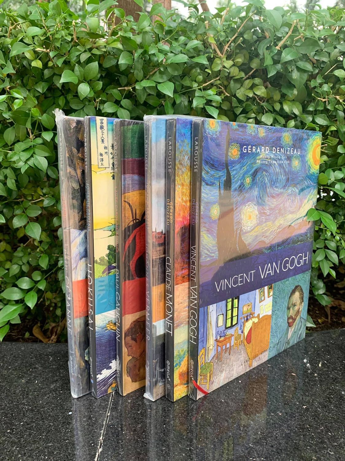 Bộ sách của Larousse- Kể Chuyện về Danh Họa. Không có những bài phân tích hay đánh giá chuyên môn cao siêu, bộ sách giản dị dạo quanh những bức danh họa với thông tin mật thiết giữa tác giả và tác phẩm, cùng với trích lục những thời kỳ quan trọng. Thông tin nhẹ nhàng dễ tiếp thu, cộng với tranh đẹp, xứng đáng nằm trong bộ sưu tập của những ai yêu mến hội họa.