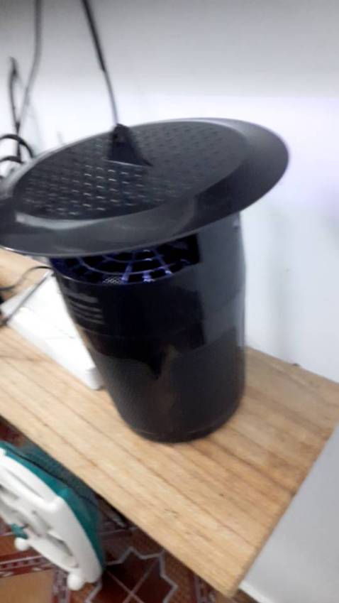 Bắt muỗi khá ổn