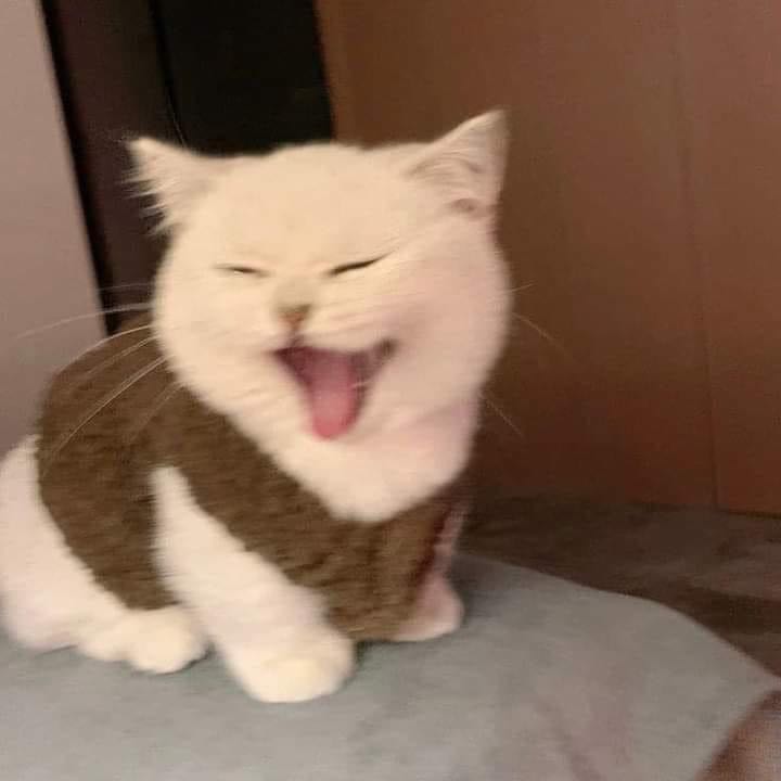 Bị rách bìa còn bị sướt nữa thất vọng