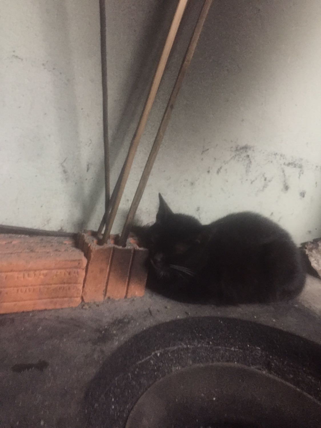 sản phẩm dao xịn lắm nha mọi người, dao bén, nhẹ và đẹp lắm nha