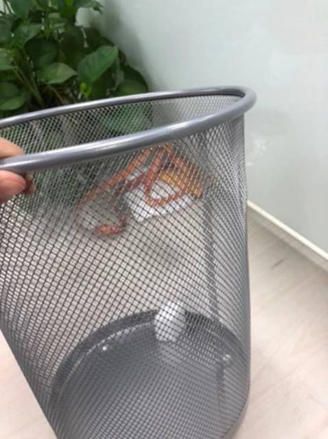 Chất lượng: ⭐⭐⭐⭐⭐
Đóng gói: ⭐⭐⭐⭐⭐
Vận chuyển: ⭐⭐⭐ ⭐⭐
Giao hàng: 1 ngàn⭐ (chưa được 1 giờ tính từ lúc nhận hàng )😁😁😁😁
shop đóng gói có tâm 
Màu nhìn sang nữa chớ!
Chất lượng tốt, cứng cáp . Nhìn thực tế lớn hơn so với hình ảnh shop đăng