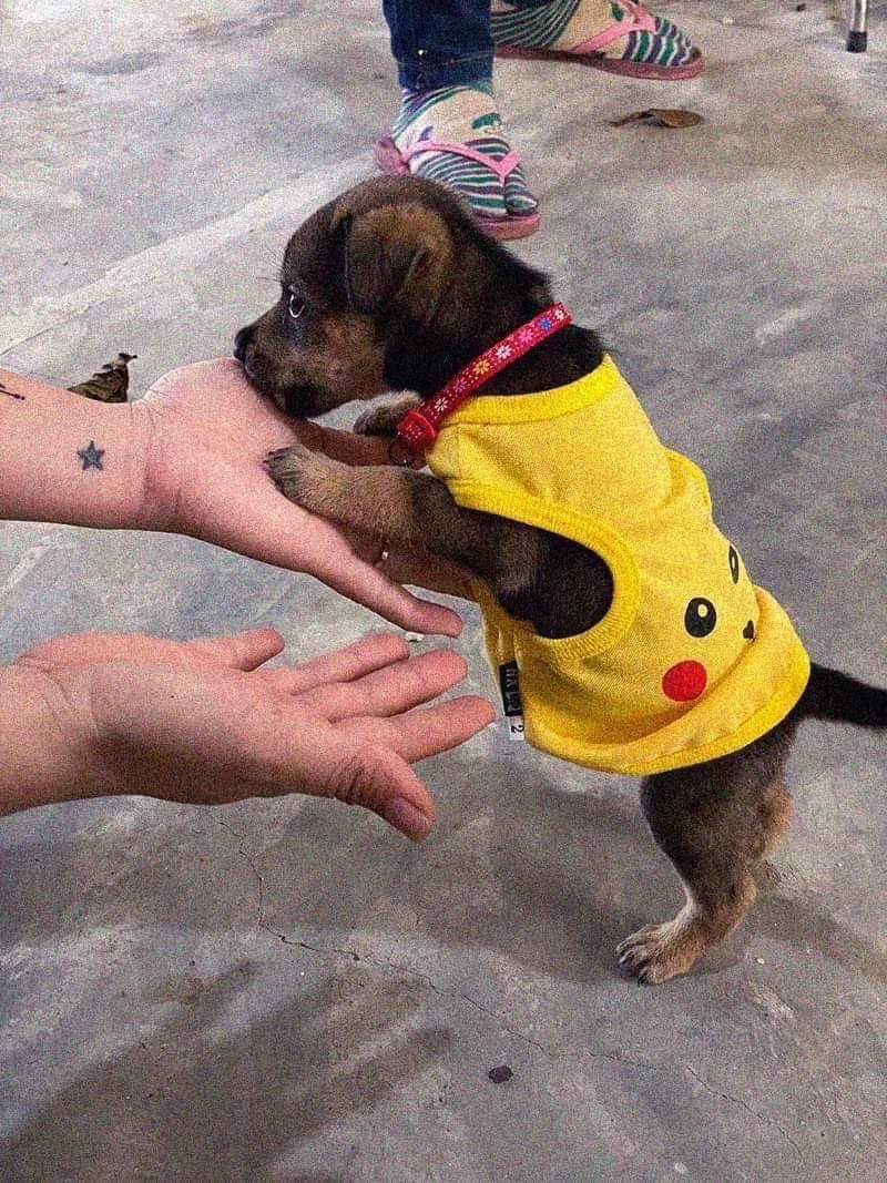 ngon shshusuaahahajauauajjahahauauauauahahahauuausjsisjsjsisisisususjsuusushsgfsgsggsgsgshshhshsjsjjsjssjsjhshsjsjsjjsjsjsjsjsjjsjsjsjjsjshahjahahajajjajqjajajjakajajajjakaksksjnsjsjsjsjsjajjsjajajhahahahahhahhahahahahahahhahahahahhahahahahahahhahahahhahahahahhahahahahahahhahahajjahahahahhahajahajahajahahahuahahshhshsusuisishhshsgsgsgdggdhdydvgdhdhhdhshshhsgvsbhshauauysuauususuusisiisiaihzhsjsjjshshshhshsjsjjsjsjajajkakakakkakakakakkakakajskkskskskakakkakakakkakakakakakkak