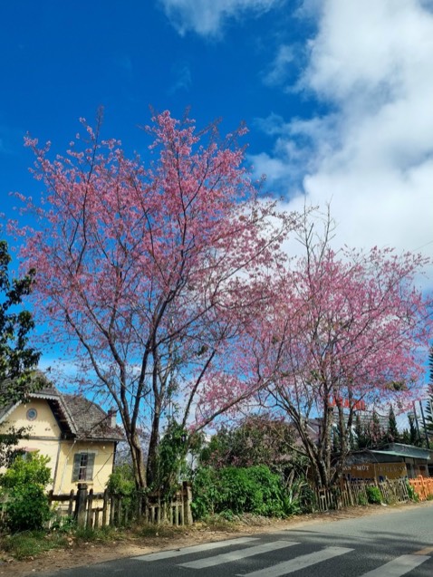 Chất lượng rất tốt đóng gói cẩn thận giao nhanh