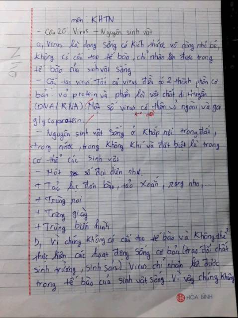 Tốt có HN nkfgn BV xD rồi đi buoond đ VN nk