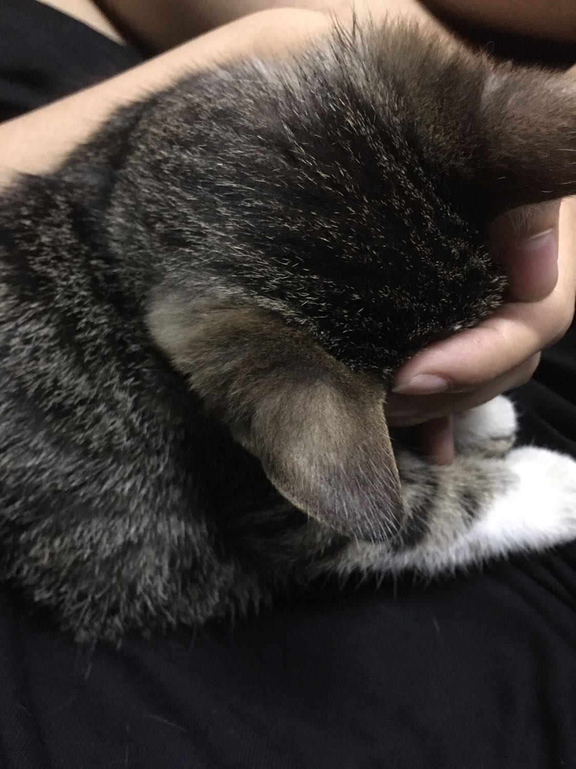 Sản phẩm dùng tốt, sau 1 tháng mình đỡ nám hẳn.