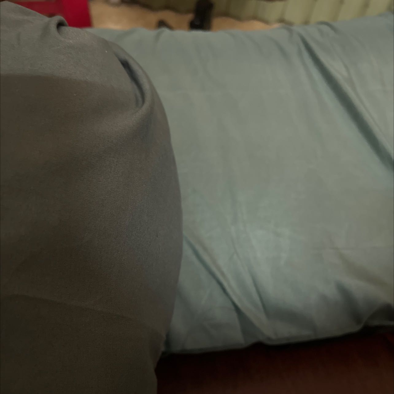 Chất lượng tốt trong tầm giá. Mới giặt 1 lần nên chưa biết chất lượng ntn. Cảm nhận ban đầu là ok, chất vải mềm , mịn, mát, nằm thích. Vỏ gối ôm tặng kèm màu sậm hơn nhưng ok.