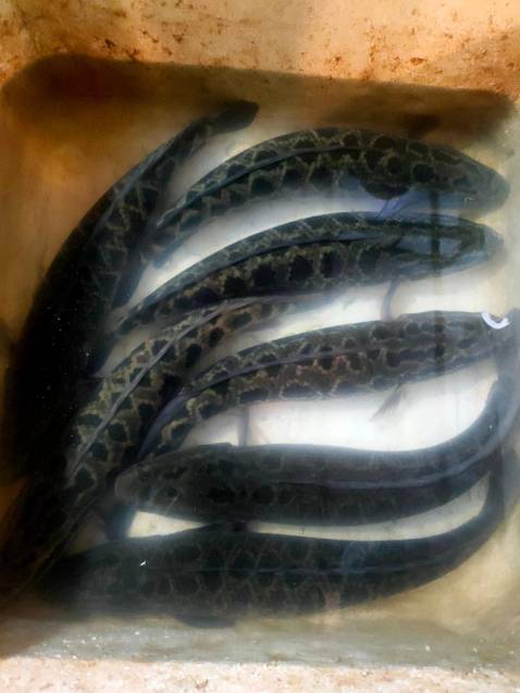 Sản phẩm tốt chắc chắn chất lượng