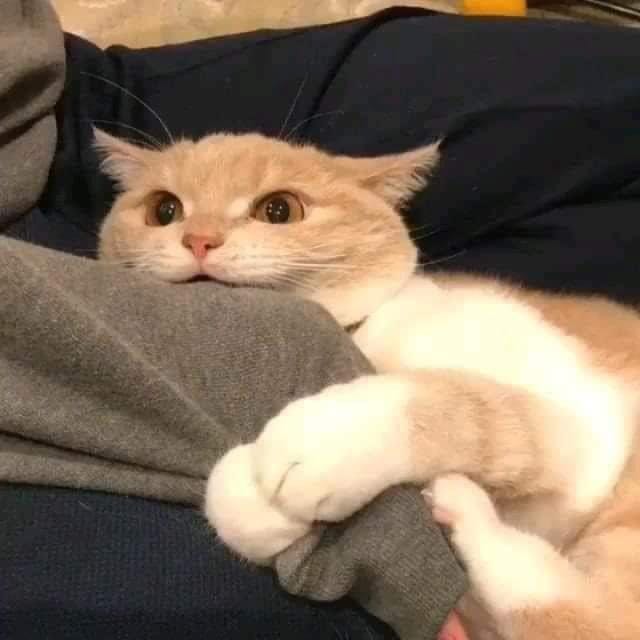 Hình ảnh mang tính chất minh hoạ