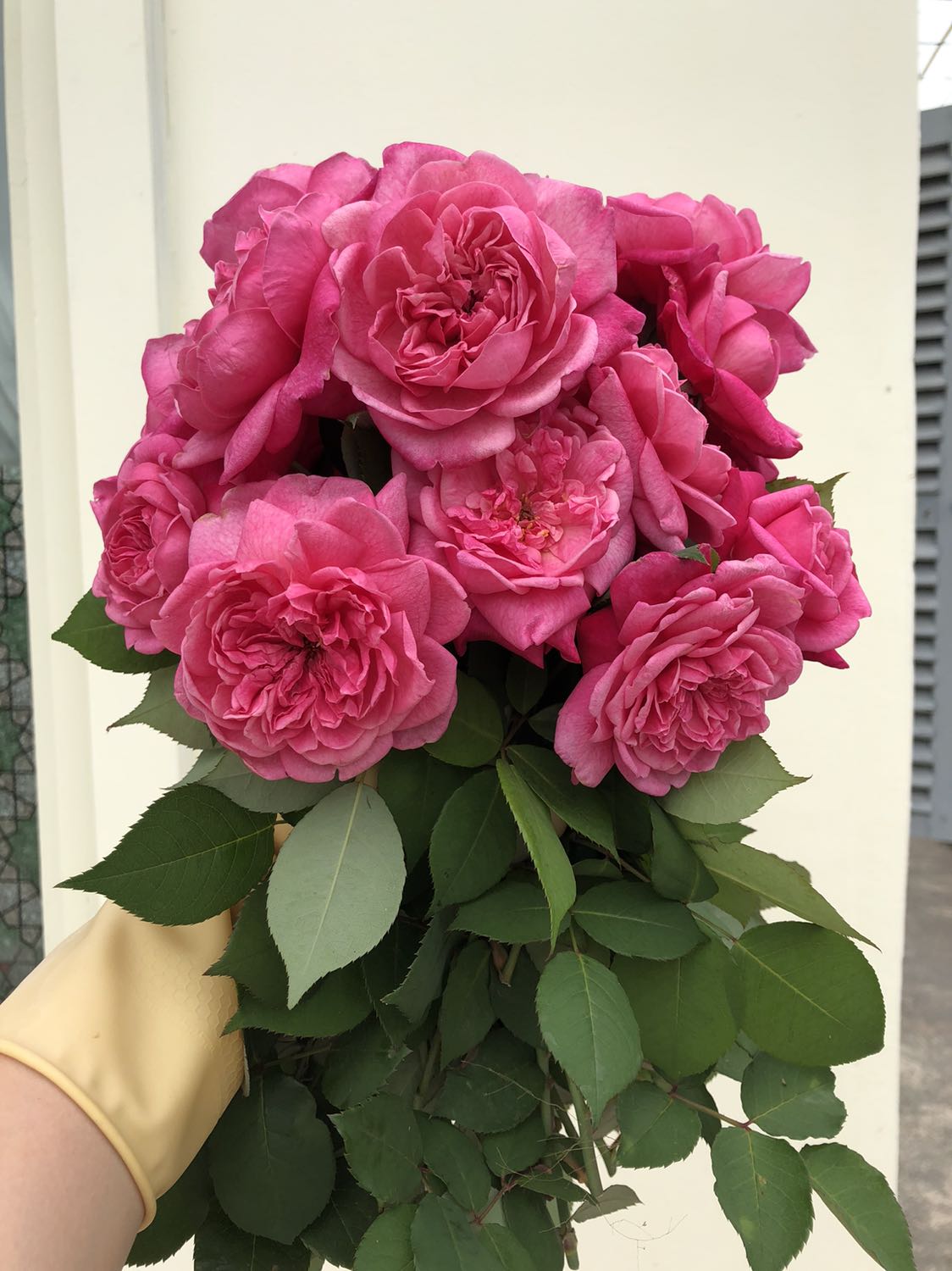 Giao hàng hơi lâu. Quần chất liệu cũng ok.