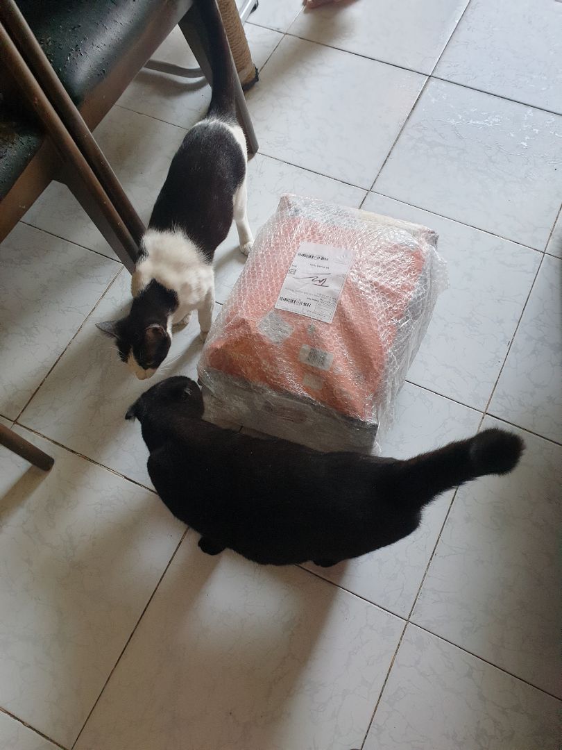 hạt mèo rất thích. shop bán giá rất rẻ so với chỗ khác. cám ơn shop. hàng đúng hãng nguyên bao bì. đóng gói tốt hạt mèo rất thích. shop bán giá rất rẻ so với chỗ khác. cám ơn shop. hàng đúng hãng nguyên bao bì. đóng gói tốt