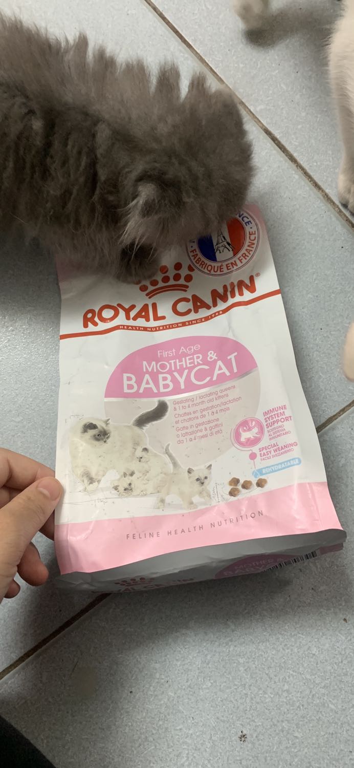 Mèo nhà mình ăn khá ngon nhéeeee