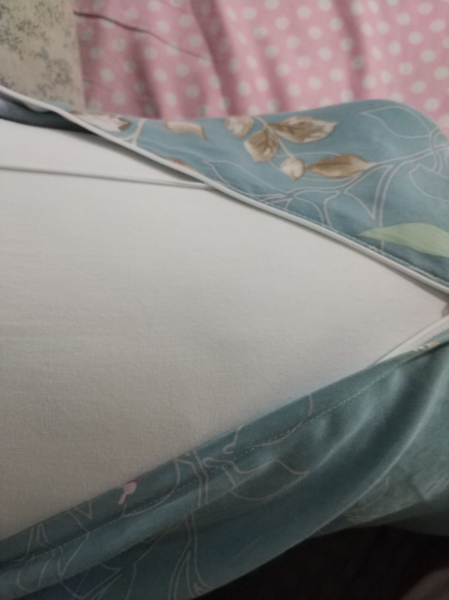 Ruột tốt đàn hồi .Good ?