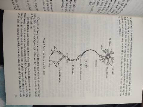 sách còn nguyên vẹn, mới tinh, chữ in rõ, giấy vàng giúp bảo vệ mắt