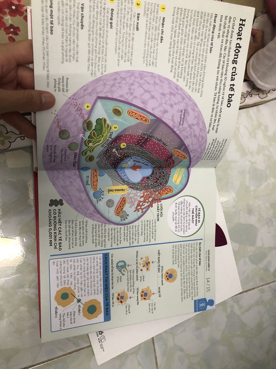 Đợt này tiki giao nhanh nhưng đóng gói ko kỹ như những lần trước. Nhận dc gói hàng mà hết hồn, cầu trời sách k bị ướt luôn vì lúc shipper giao trời đang mưa. May mắn k ướt nhưng bị móp ở góc, hơi tiếc nhưng sách nội dung ưng ý quá, mua lúc dc sale nữa.