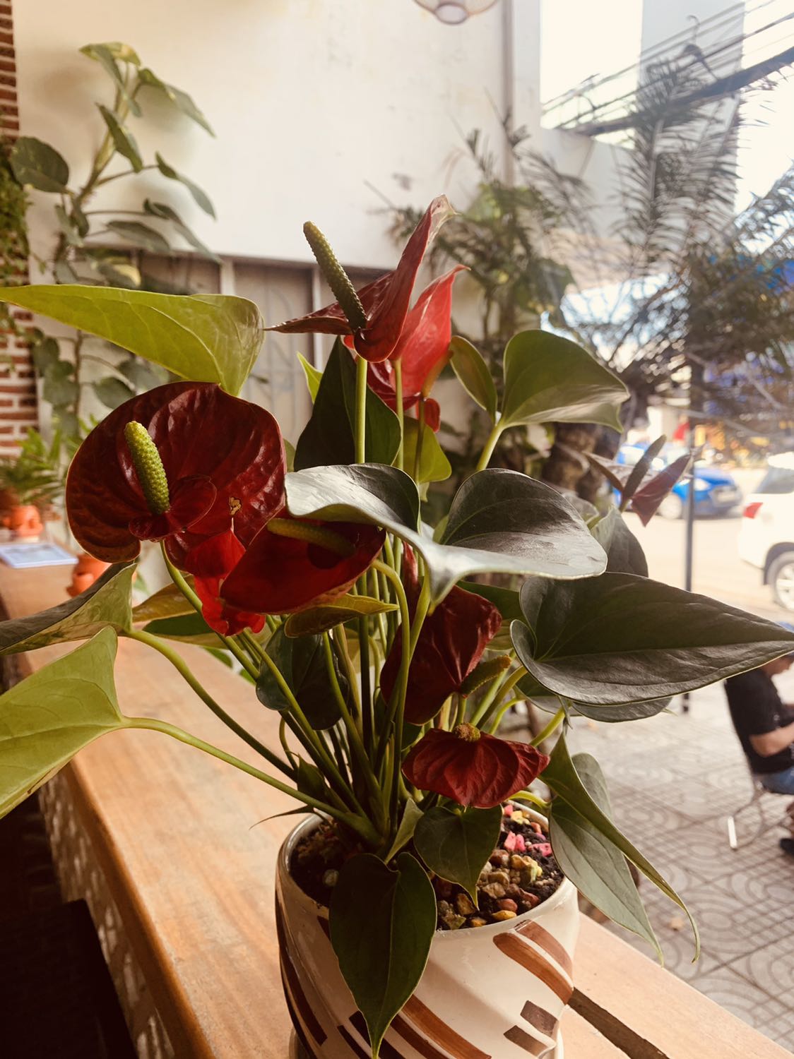 Sản phẩm đẹp, đúng mẫu