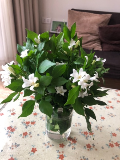 Ưu điểm: màu sắc đepj, chăc chắn, dùng tiện, là khá phẳng
Hạn chế: 
- khay đổ nước nhỏ, cần thay liên tục sau mỗi chiếc quần hoặc áo
- khá mỏi tay so với bàn là bàn