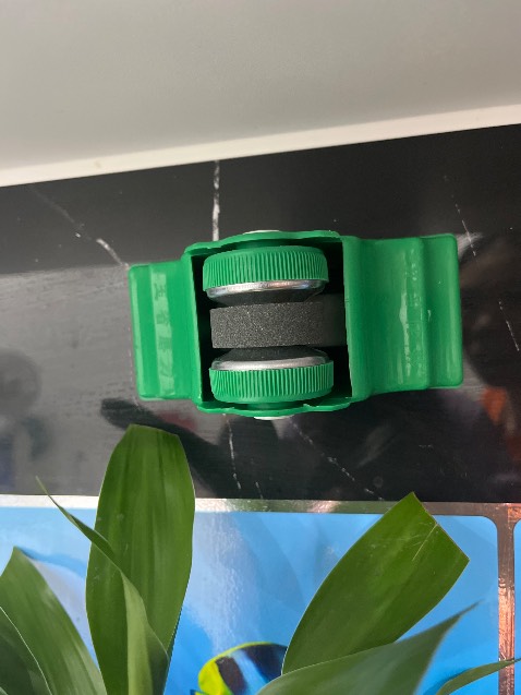 Sp giống miêu tả.