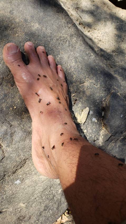 Giao hàng khá nhanh ⭐⭐⭐⭐