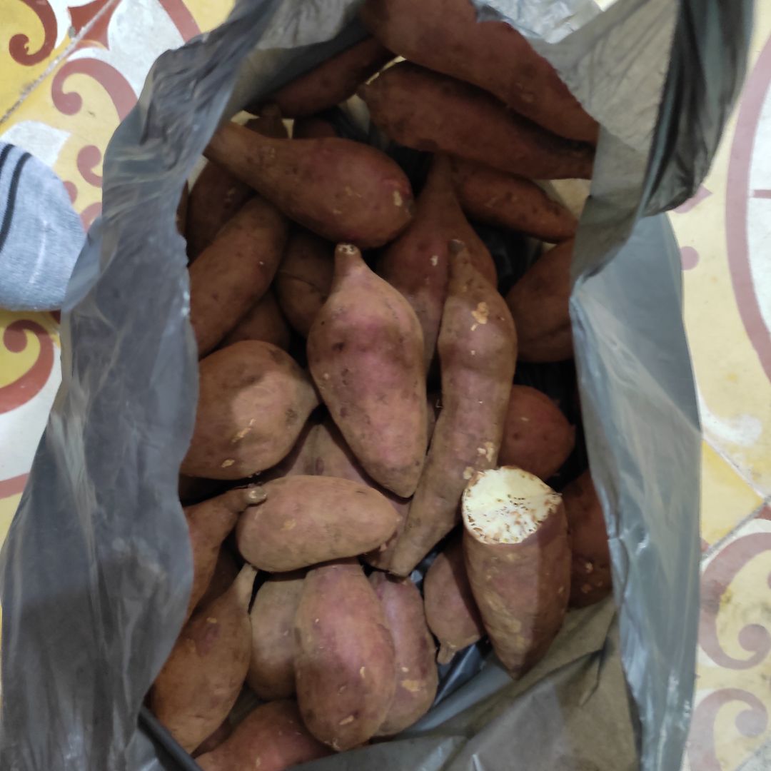 Máy dễ sử dụng, đóng gói chắc chắn. Bố mẹ mình rất thích